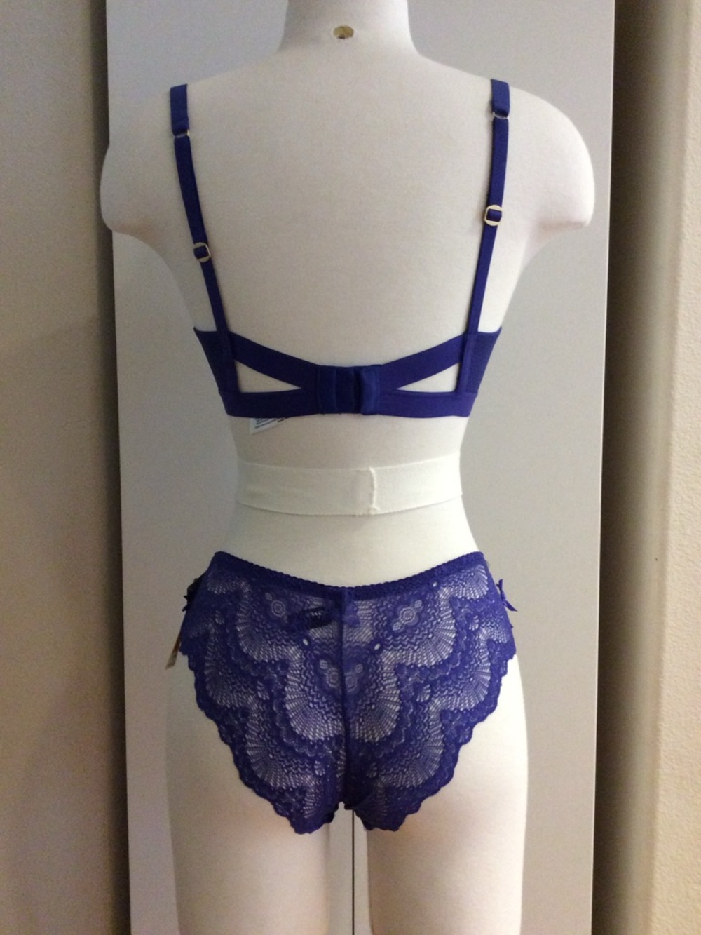 NWT Sam Edelman Cobalt Blue Lace Bra and Bikini set